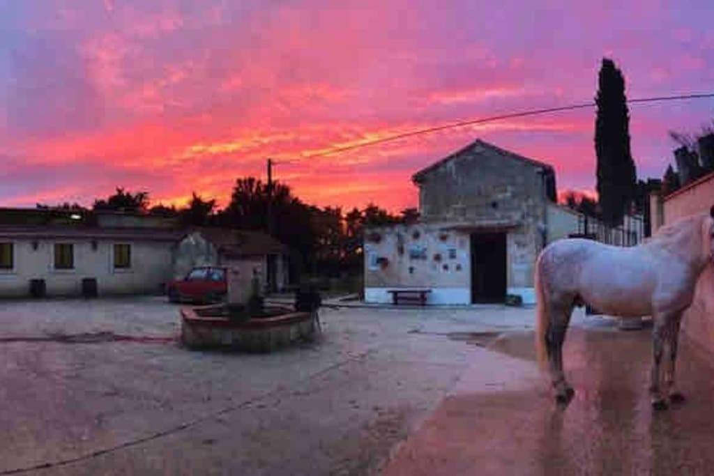 Logement Insolite Au Coeur D'Une Ecurie Arles Exteriör bild